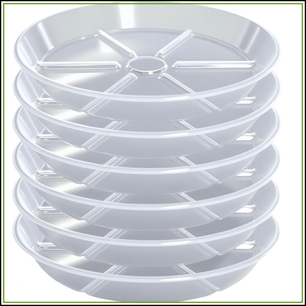 6er-Pack Transparente Pflanzun – Drip Tray Saucer Bewertung und Preis