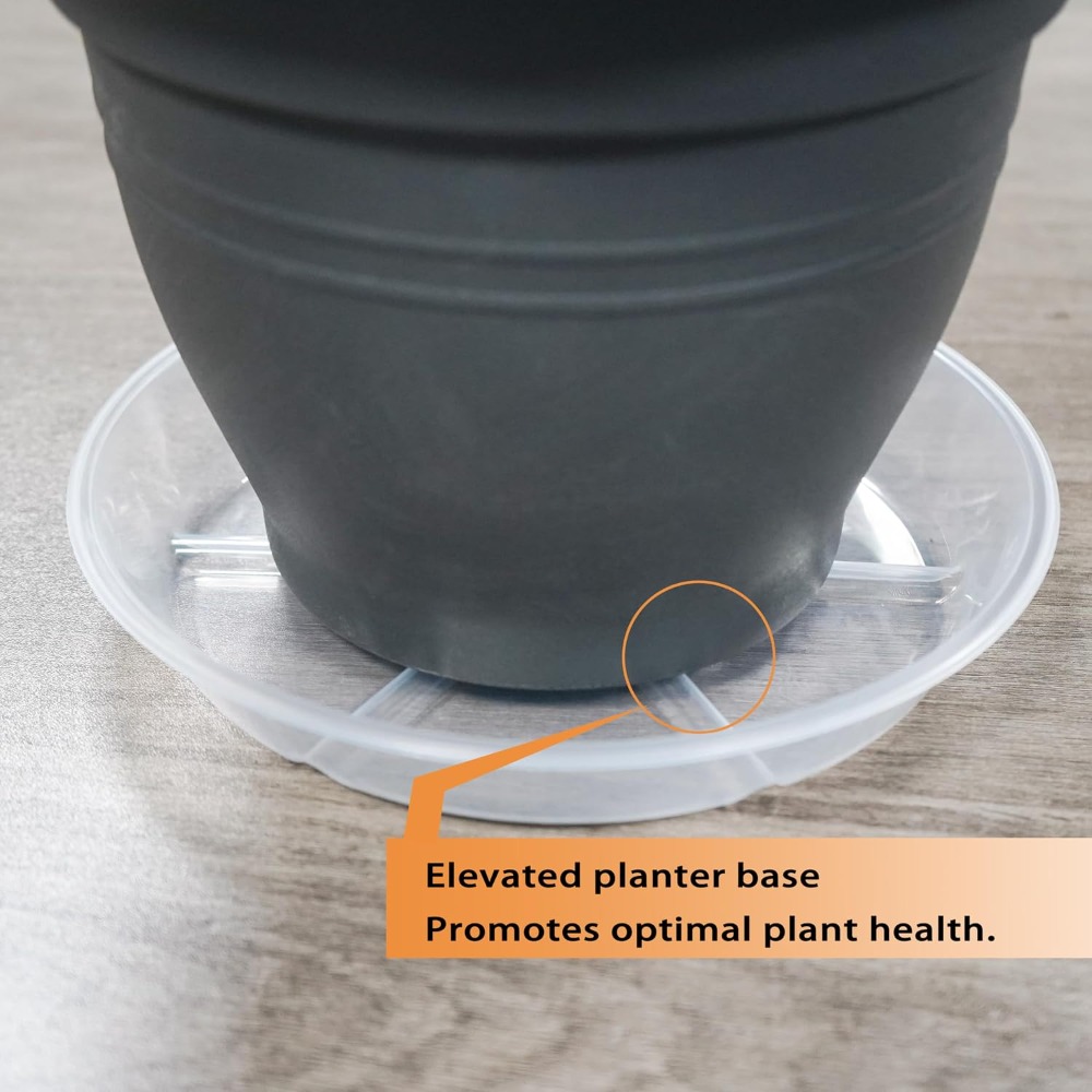 6er-Pack Transparente Pflanzun – Drip Tray Saucer Bewertung und Preis