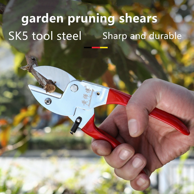 Manuelle Gartenschere aus SK5- – Bonsai Tool Set Bewertung und Preis