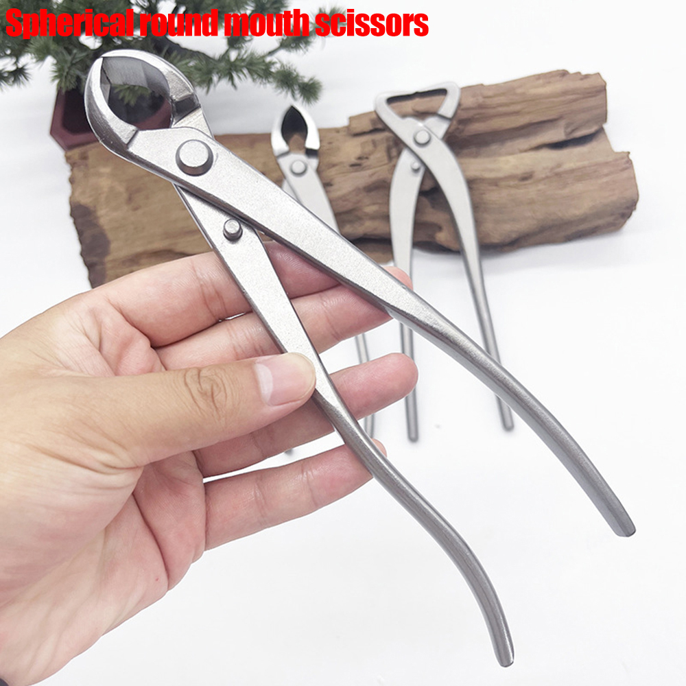 Drei Modelle von Bonsai-Schere – Bonsai Tool Set Bewertung und Preis
