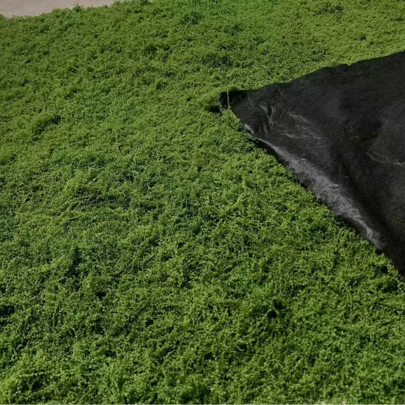 Künstliches Moos für Mikroland – Bonsai Garden Mini Bewertung und Preis