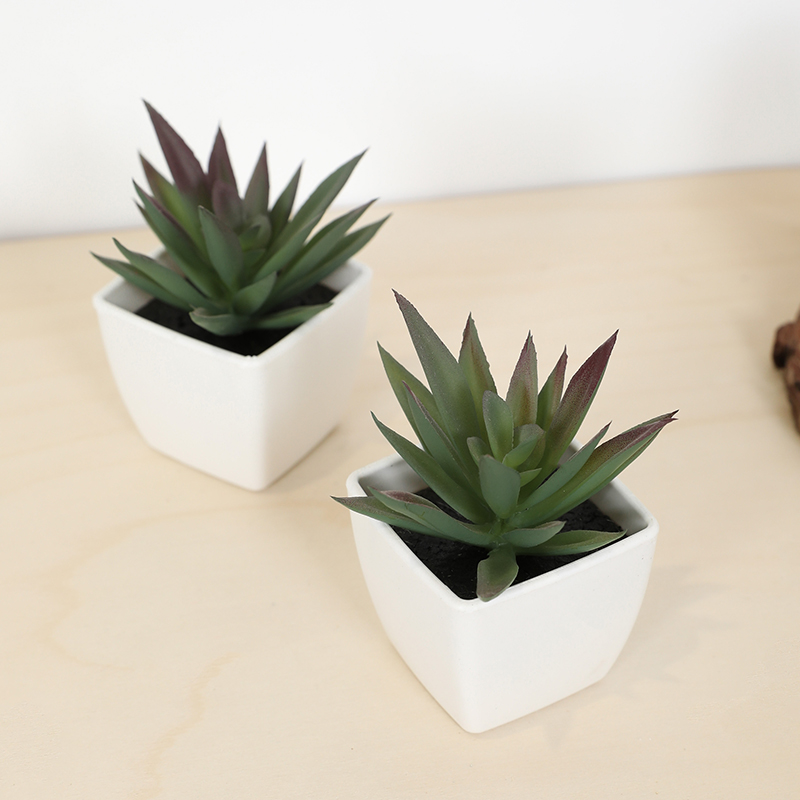 Mini künstliche Sukkulenten-Fe – Bonsai Garden Mini Bewertung und Preis