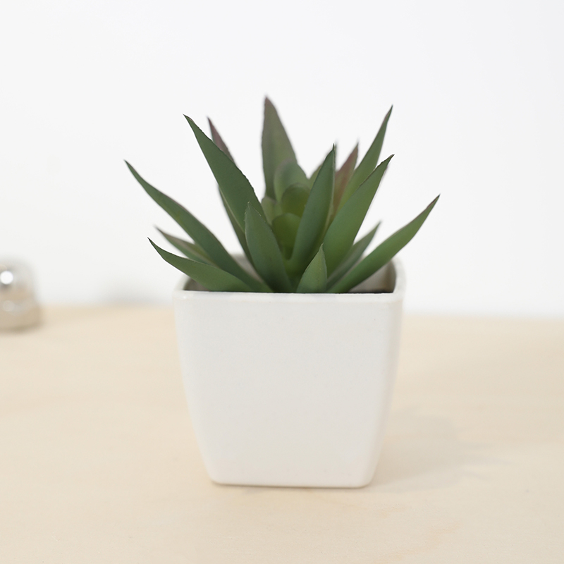 Mini künstliche Sukkulenten-Fe – Bonsai Garden Mini Bewertung und Preis