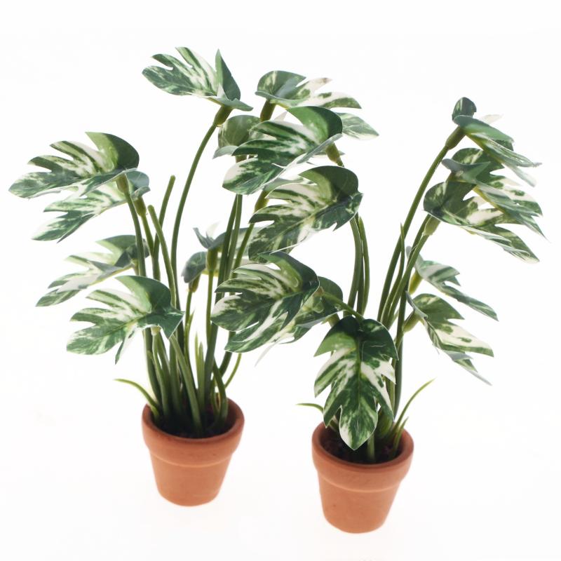 Neu. 1 Stück 1/12 Puppenhaus-S – Bonsai Garden Mini Bewertung und Preis