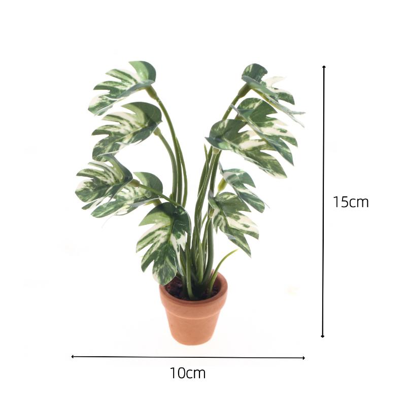 Neu. 1 Stück 1/12 Puppenhaus-S – Bonsai Garden Mini Bewertung und Preis