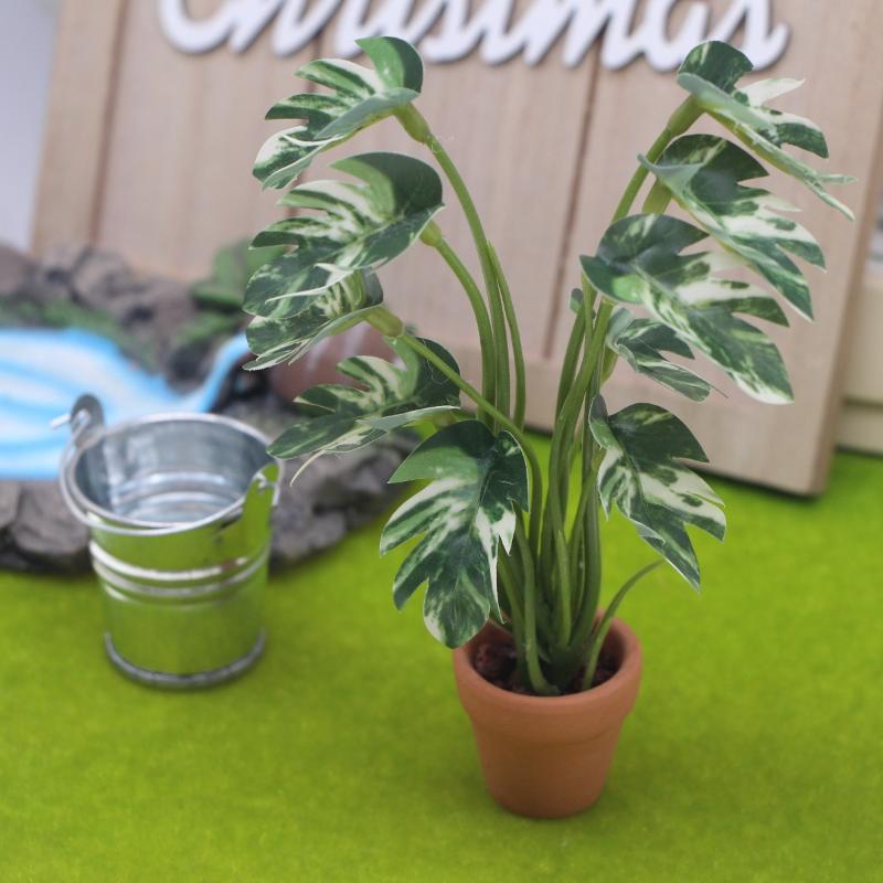 Neu. 1 Stück 1/12 Puppenhaus-S – Bonsai Garden Mini Bewertung und Preis