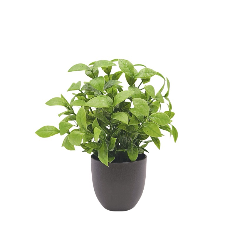 Simulierte grüne Pflanze Bonsa – Bonsai Garden Mini Bewertung und Preis
