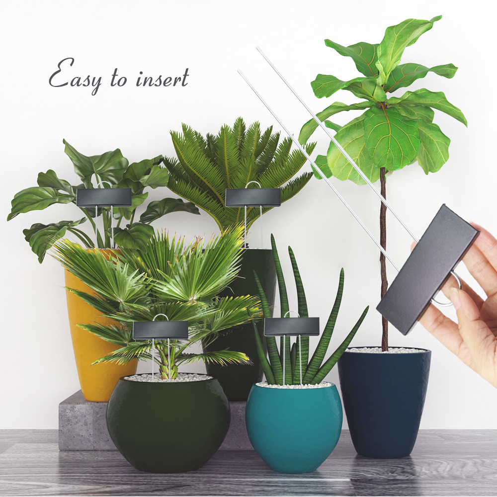 8/15/30/50 Stück wetterfeste g – Bonsai Garden Indoor Bewertung und Preis