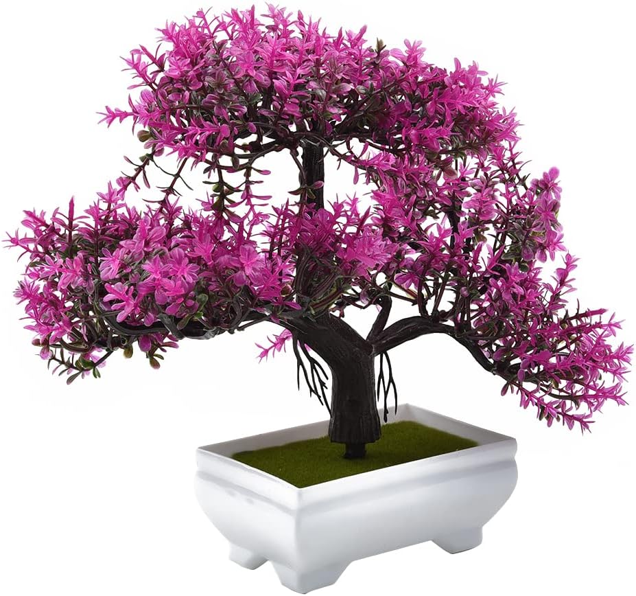Künstliche Pflanzen Bonsai Gef – Bonsai Garden Mini Bewertung und Preis