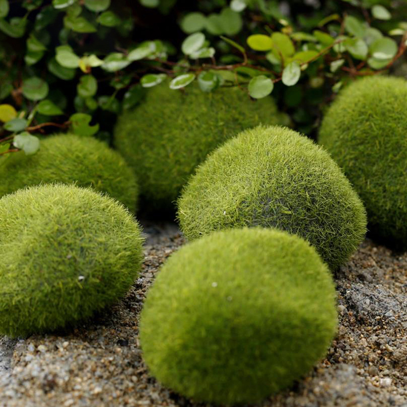 4 Teile/satz Puppenhaus Micro  – Bonsai Garden Europe Bewertung und Preis